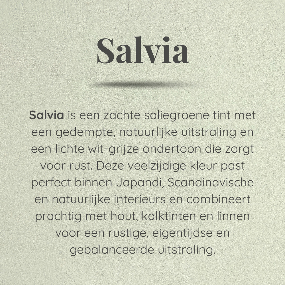 Salvia – kleuromschrijving Salvia - kleuromschrijving